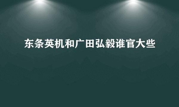 东条英机和广田弘毅谁官大些