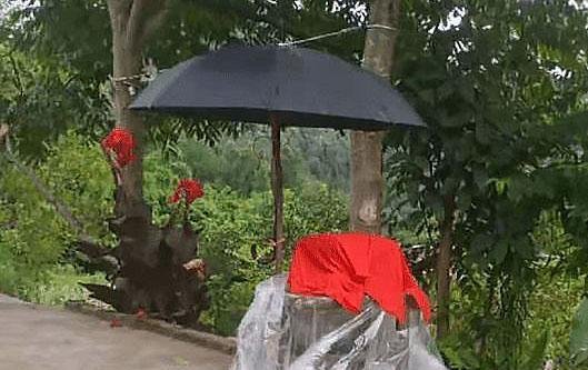 23岁网红塔吊女司机坠亡，小邱妹归途的终点，是一张桌子一把雨伞