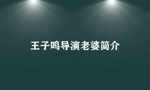 王子鸣导演老婆简介