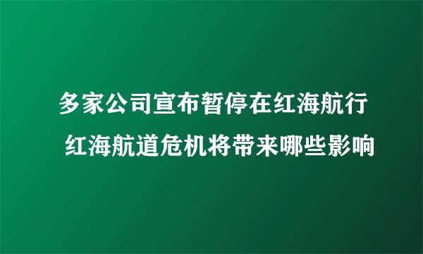 多家公司宣布暂停在红海航行 红海航道危机将带来哪些影响