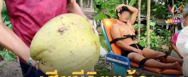 生命太脆弱，男子被一个突然掉落的椰子砸中头，最终经抢救无效死亡！