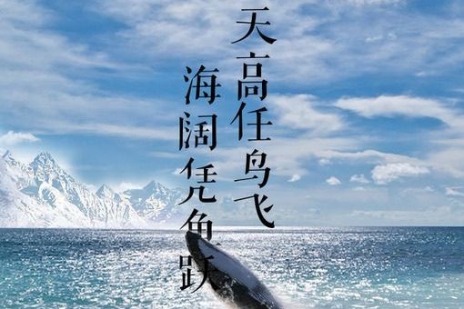 海阔凭鱼跃，天高任鸟飞。什么意思。