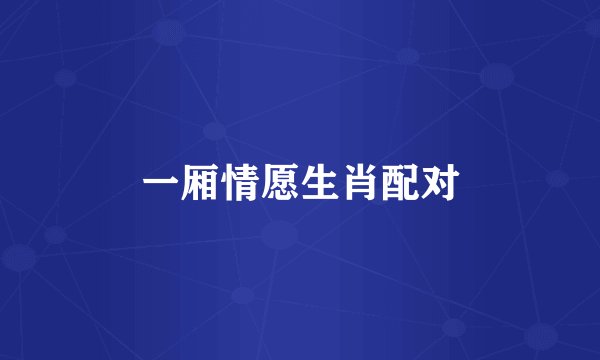 一厢情愿生肖配对
