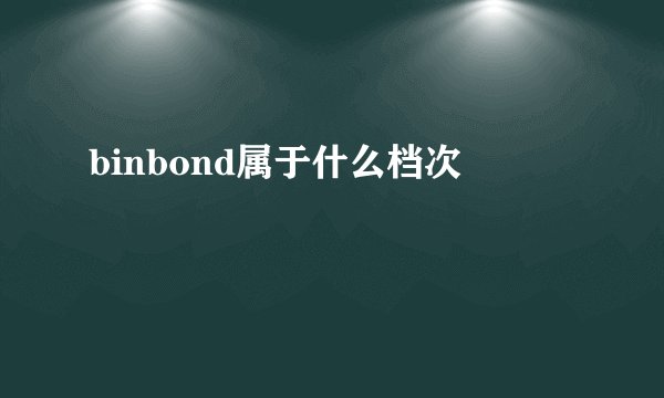 binbond属于什么档次