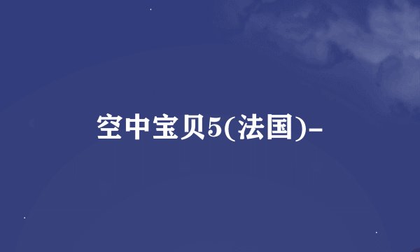 空中宝贝5(法国)-