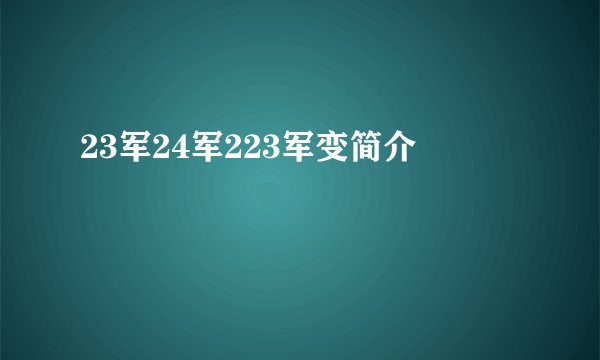 23军24军223军变简介