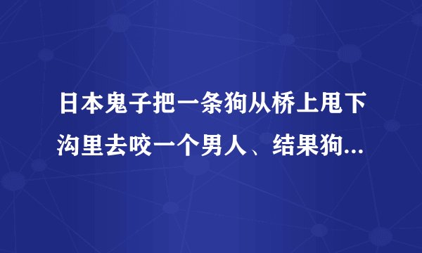 日本鬼子把一条狗从桥上甩下沟里去咬一个男人、结果狗被人咬死是什么电影