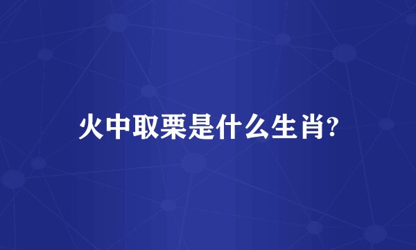 火中取栗是什么生肖?