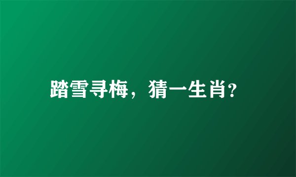 踏雪寻梅，猜一生肖？