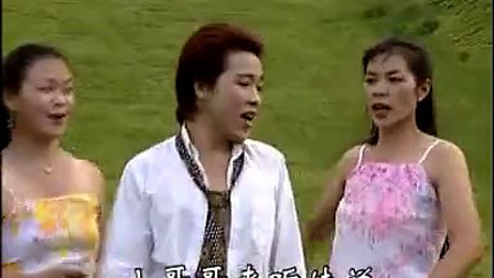 现打斑鸠现钳毛的介绍