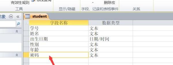 access如何使密码字段内容不变但以*号显示?