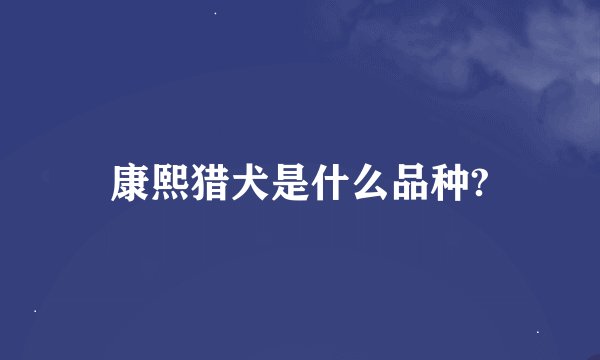 康熙猎犬是什么品种?