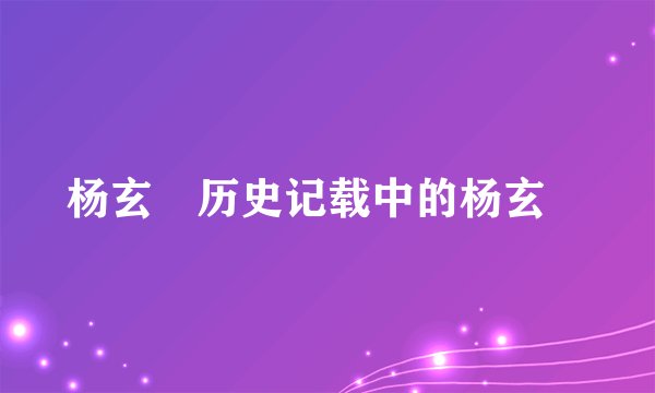 杨玄珪历史记载中的杨玄珪