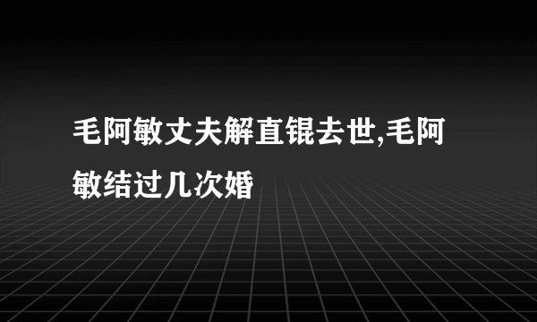 毛阿敏丈夫解直锟去世,毛阿敏结过几次婚
