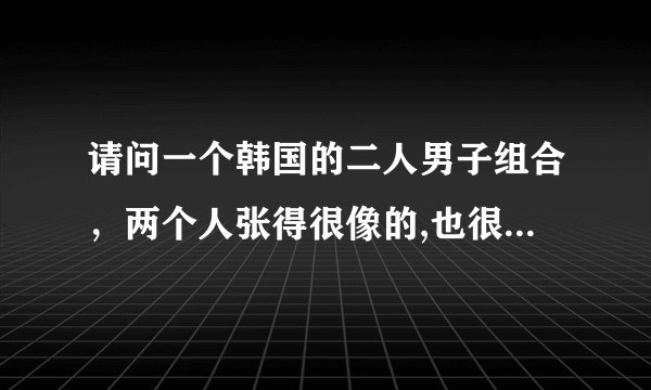 请问一个韩国的二人男子组合，两个人张得很像的,也很潮,这个组合是什么啊？？？！！！