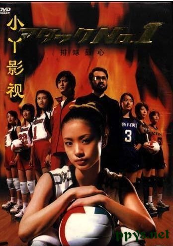 新排球女将的剧情简介