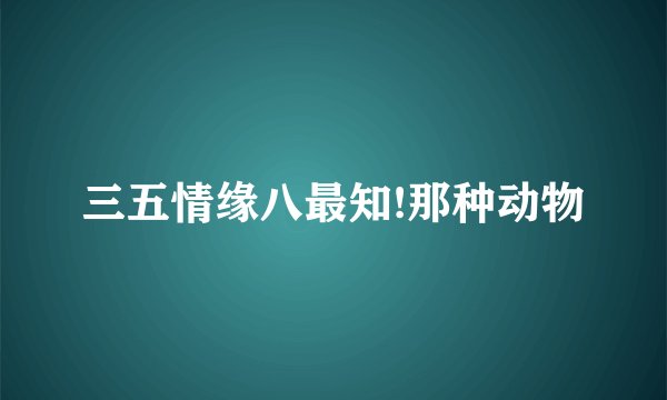 三五情缘八最知!那种动物