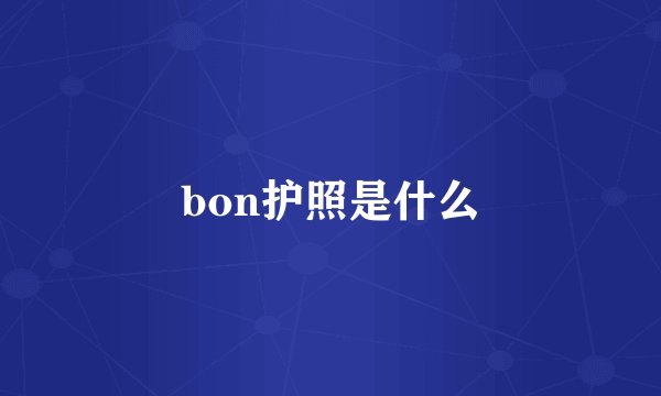 bon护照是什么