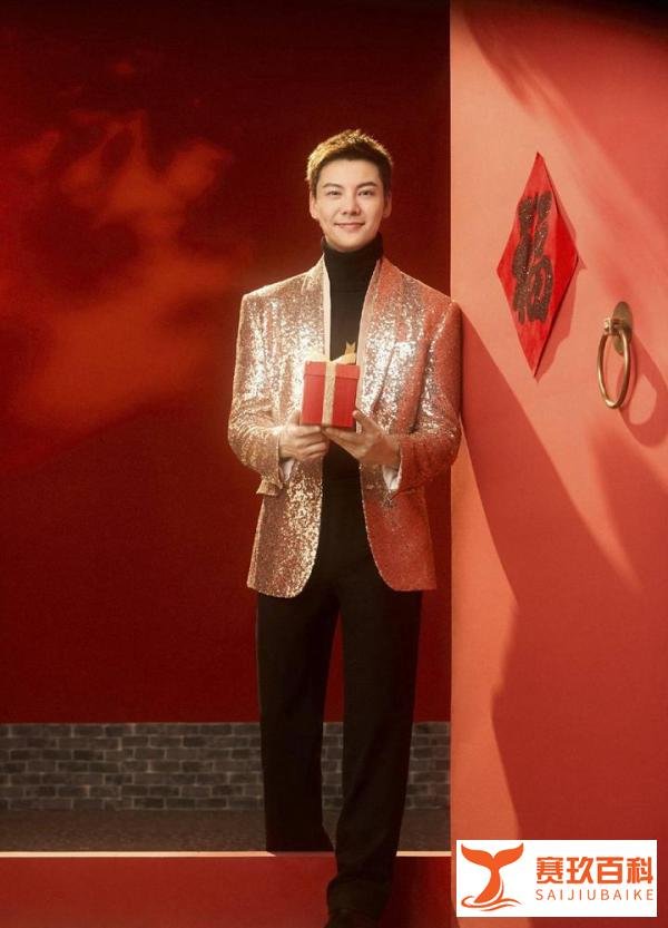 陈伟霆八登春晚演绎 《如意舞步》 开门红迎蛇年