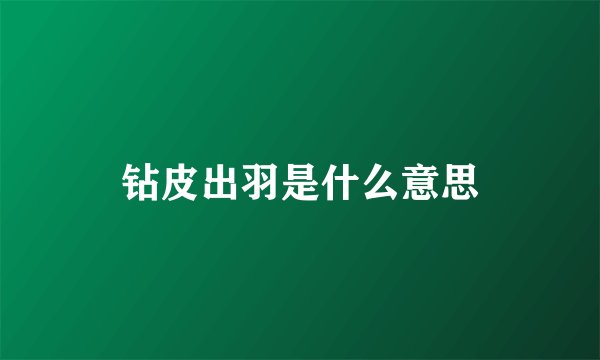 钻皮出羽是什么意思