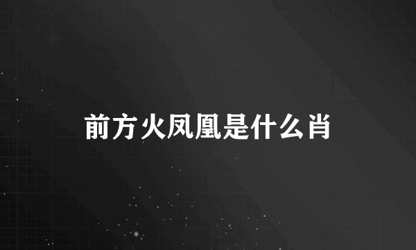 前方火凤凰是什么肖