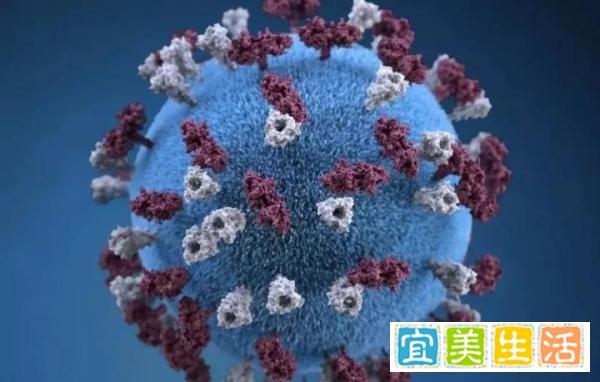 警惕!致死率高达80%!香港发现首例人类感染猴疱疹病毒