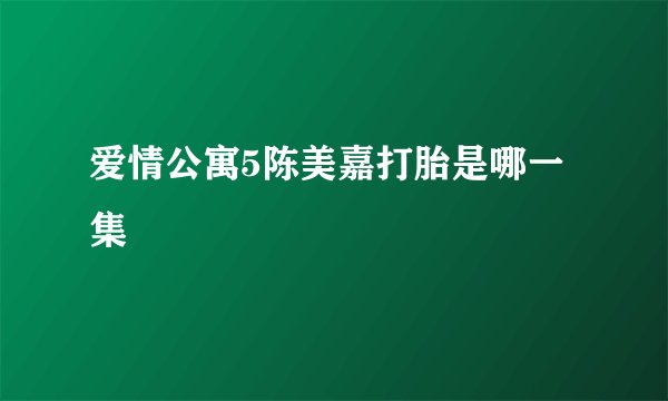 爱情公寓5陈美嘉打胎是哪一集