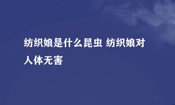 纺织娘是什么昆虫 纺织娘对人体无害