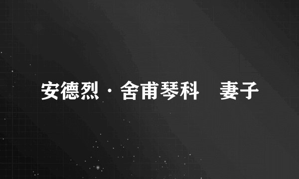 安德烈·舍甫琴科 妻子