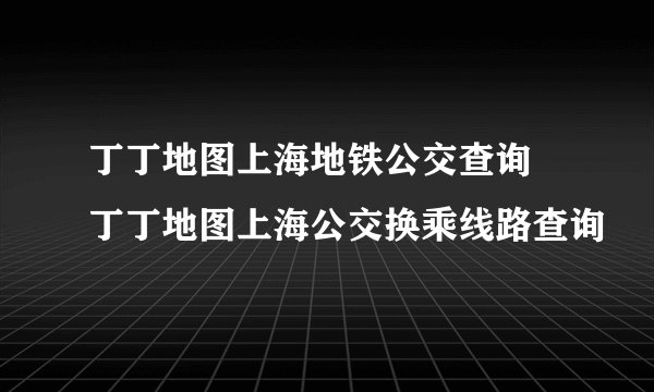 丁丁地图上海地铁公交查询 丁丁地图上海公交换乘线路查询