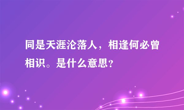 同是天涯沦落人，相逢何必曾相识。是什么意思？