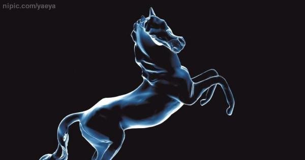 御龙在天繁育马技巧