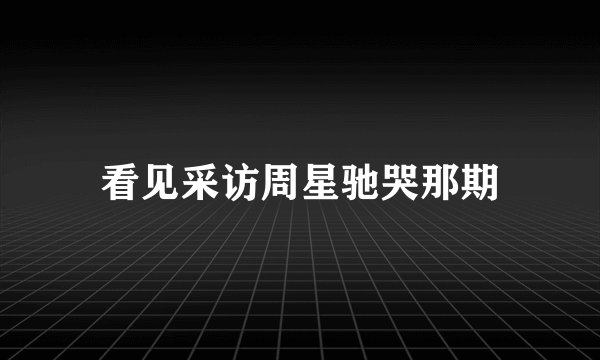 看见采访周星驰哭那期