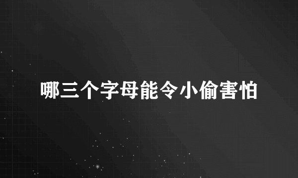 哪三个字母能令小偷害怕