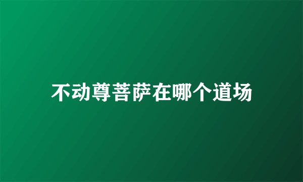 不动尊菩萨在哪个道场