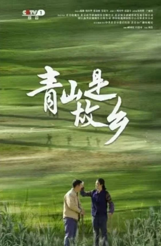 青山是故乡全部演员表