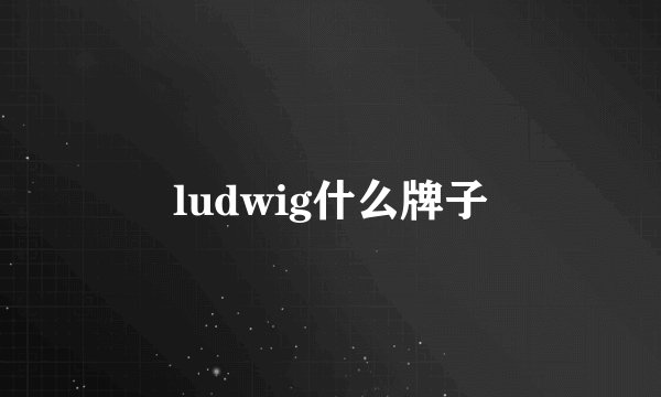 ludwig什么牌子