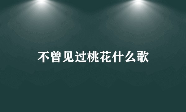 不曾见过桃花什么歌