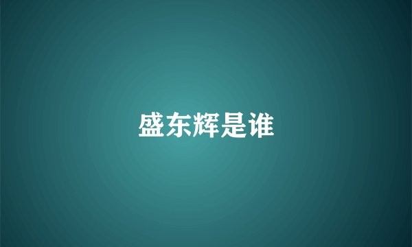 盛东辉是谁