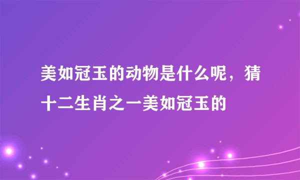 美如冠玉的动物是什么呢，猜十二生肖之一美如冠玉的