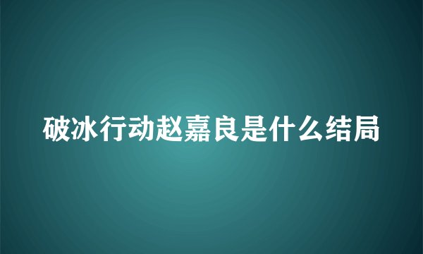 破冰行动赵嘉良是什么结局