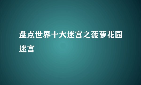 盘点世界十大迷宫之菠萝花园迷宫