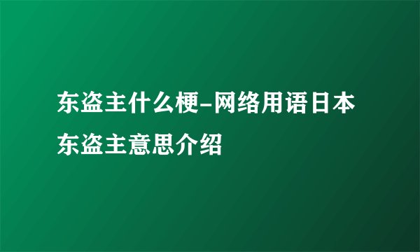 东盗主什么梗-网络用语日本东盗主意思介绍