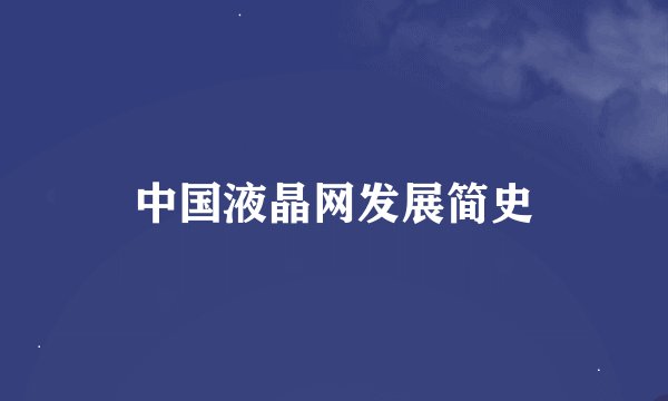中国液晶网发展简史