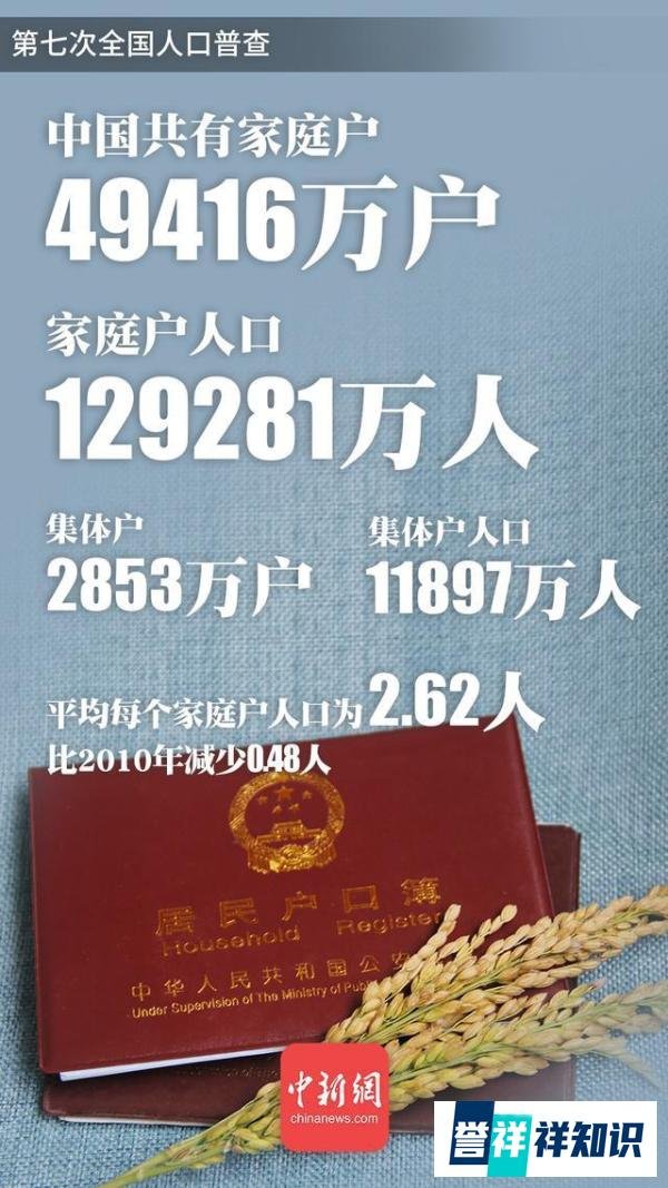 中国新观察｜中国一人户数量超1.25亿！独居者为何越来越多？