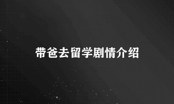 带爸去留学剧情介绍