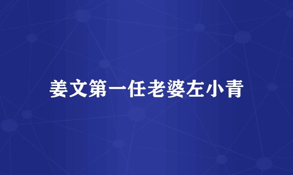 姜文第一任老婆左小青