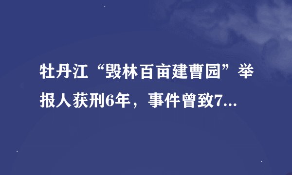 牡丹江“毁林百亩建曹园”举报人获刑6年，事件曾致74名干部被问责